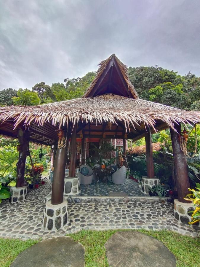 Green Travelodge Bukit Lawang Exterior foto